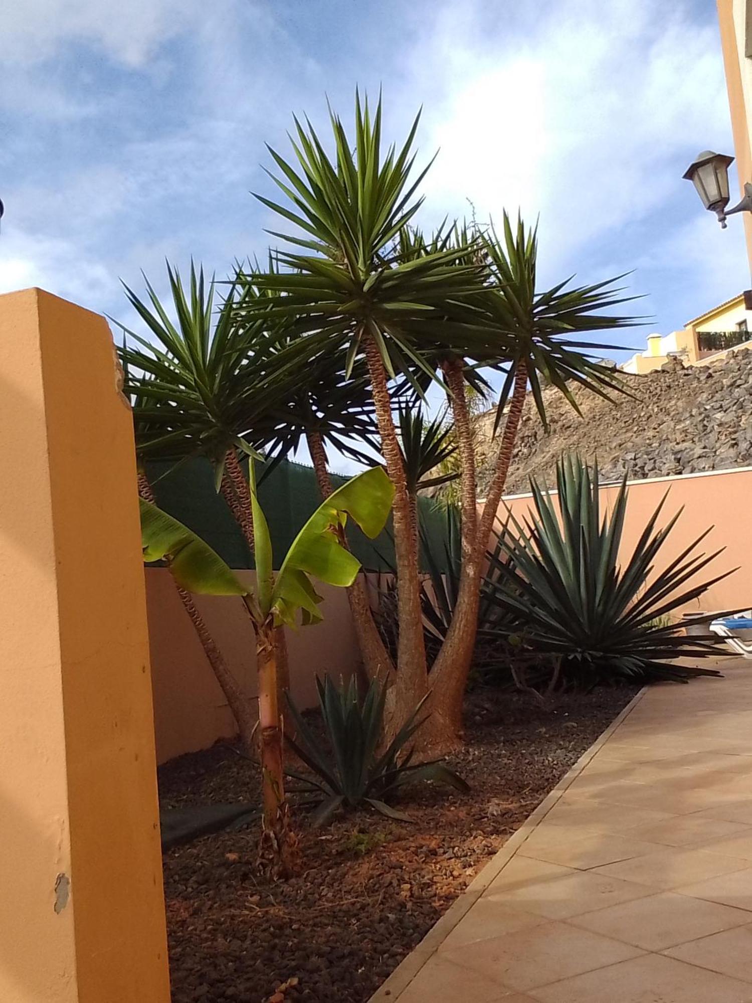 A Casa Di Ilaria Vandrerhjem Corralejo Eksteriør bilde